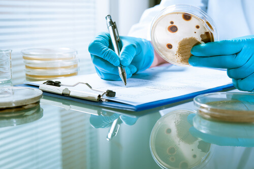 Cálculo de la incertidumbre de medida