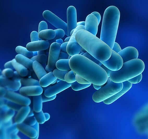 Normativa Legionella